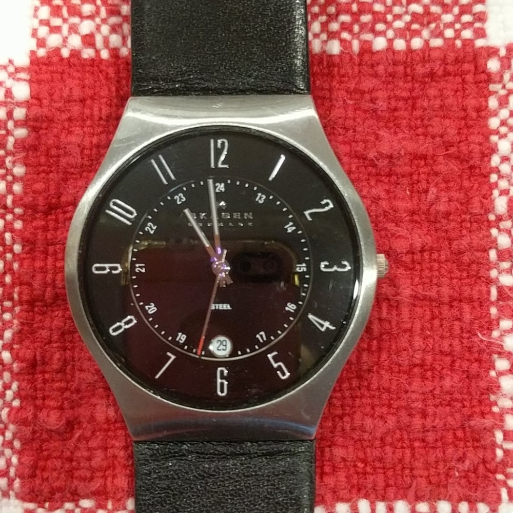 Skagen Woman's Watch